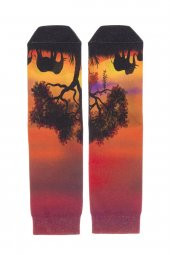 Farm Animals Sunset Desenli Patik Çorap - 1