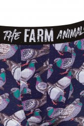 Farm Animals Pigeon Desenli Boxer - 3