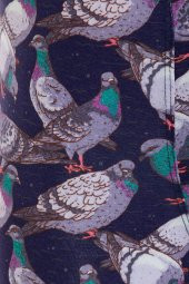 Farm Animals Pigeon Desenli Boxer - 4