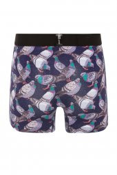 Farm Animals Pigeon Desenli Boxer - 2