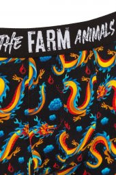 Farm Animals Dragon Desenli Boxer - 3