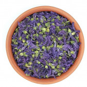 EBEGÜMECİ ÇİÇEĞİ 50 GR - 1