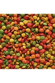 Nutrıbırd G14 Tropıcal Paraket Pelet Yem 1kg - 3