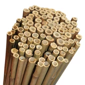 Gardener Bambu Bitki Destek Çubuğu   90cm - 2