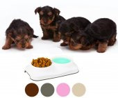 Flosoft İkili Kedi Köpek Mama ve Su Kabı 350+350ml - 1