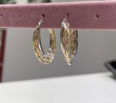 SilverPoint Gold ve Rose Detay Oval Halka Küpe - 2