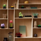 Orjinal Lego Creator Expert Sukulentler Lego Creator Expert 10309 - 3