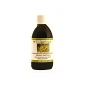 Zeytin Yaprağı Sıvı Özü 250 ML - 1