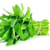 Murat Tohumculuk Çin Su Ispanağı Tohumu thumbnail 1