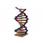 Hobi Eğitim Dünyası Fenset DNA Modeli Yapalıml Eğitici Deney Seti - 2