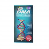 Hobi Eğitim Dünyası Fenset DNA Modeli Yapalıml Eğitici Deney Seti - 4