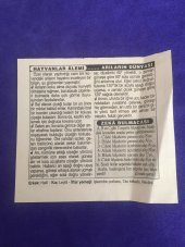 17 Kasım 2001 Takvim Yaprağı - Nostalji Koleksiyonluk Takvim Yaprağı B thumbnail 2