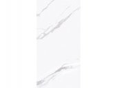 60*120 Mpb-R3456 Calacatta Calma Par -X thumbnail 1