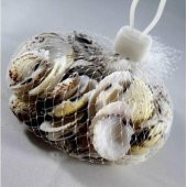 %100 NATUREL DOĞAL GERÇEK DENİZ KABUĞU 500 Gram -MMM4768 - 3