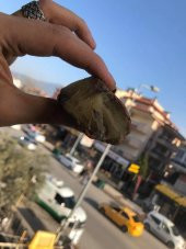 Baltık Doğal Kaya Damla Kehribar Faturalı 65 Gram - Kaya Damla Kehribar Taş - 2