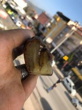 Baltık Doğal Kaya Damla Kehribar Faturalı 65 Gram - Kaya Damla Kehribar Taş - 5