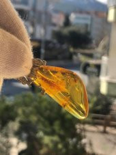 Fosilli Doğal Kaya Damla Kehribar Kolye Ucu Gümüş Aparatlı 5.80 Gram - Sinek Karınca vs Fosilli Kehribar Taş - 2