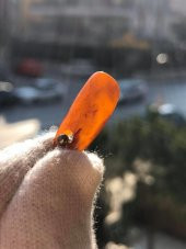 Doğal Kaya Damla Kehribar Kolye Ucu Gümüş Aparatlı 0,85-2 Gram (Model 3) - 4