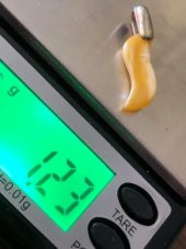 Doğal Kaya Damla Kehribar Kolye Ucu Gümüş Aparatlı 0,5-2 Gram (Model 6) - 4