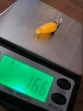 Doğal Kaya Damla Kehribar Silindirik Kolye Ucu Gümüş Aparatlı 1-2 Gram (Model 4) - 11