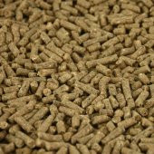 2 Kg Kaliteli Tavşan Yemi Hamster Gınepig Pelet Yemi Kemirgen Yemi Palet Yem Tavşan Besi Yemi - 1