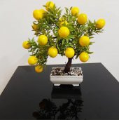 Yapay Limon Ağacı , 23cm. Yapay Limon - 5
