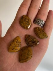 Kabaşon Kesim Doğal Coquina Jasper Taşı 21 Gram Lot 6 - 2