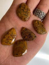 Kabaşon Kesim Doğal Coquina Jasper Taşı 21 Gram Lot 6 - 3