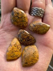 Kabaşon Kesim Doğal Coquina Jasper Taşı 21 Gram Lot 6 - 4