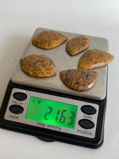Kabaşon Kesim Doğal Coquina Jasper Taşı 21 Gram Lot 6 - 5
