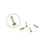 H Civata 5,5mm Gold 1 Adet - Hublot Saat Uyumlu Vida - 1
