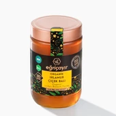 Eğriçayır Organik Ihlamur Çiçek Balı 850g - 1