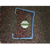 BEYLER DİYARI Gemlik Megalodon zeytin 1 kg - 5