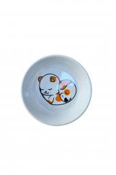 2 Li Yıkanabilir Seramik Mama ve Su Kabı 14 cm 250 ml no:4 - 3