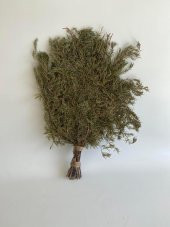 Köknar Banyo ve Sauna Süpürgesi - Organik Köknar Süpürge - 1