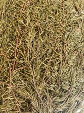 Köknar Banyo ve Sauna Süpürgesi - Organik Köknar Süpürge - 3