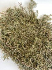 Köknar Banyo ve Sauna Süpürgesi - Organik Köknar Süpürge - 6