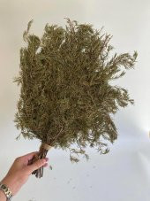 Köknar Banyo ve Sauna Süpürgesi - Organik Köknar Süpürge - 8