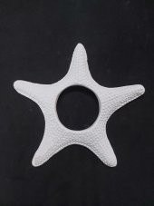 Polyester Deniz Yıldızı 18cm P011 - 1