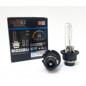 BMW E39 5 Seri D2S XENON Ampul FEMEX XenStart 4300K 1 Adet - 1