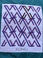 Xumu Erkek Kapüşonlu Puf Şişme Mont - 8