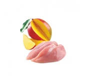 Natura Tavuk Fileto&Mango, Jöle Pirinçli Yavru Kedi Konservesi 70 Gr thumbnail 3