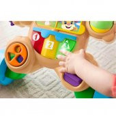 Fisher Price Eğitici Köpekçik Yürüteç Türkçe FTG10 - 4