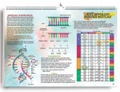 AYT Biyoloji Poster Notlar KR Akademi thumbnail 1