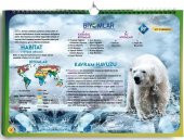 AYT Coğrafya Poster Notlar KR Akademi - 1