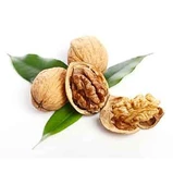 5'li Chandler Ceviz Fidanı Pakedi (4+1 Hediye) - 1