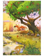 Ne Sorsan Bilir Minik Mevsimler Sincap Kitap - 3