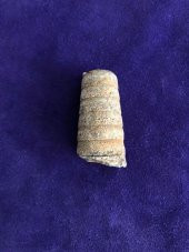 Kafadanbacaklı Baculites Fosil 45 Gram - 1