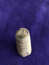 Kafadanbacaklı Baculites Fosil 45 Gram - 3