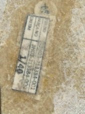 İş Makinası Sağ Dolap Kapağı 3.H03-21.33.84:000 - 9